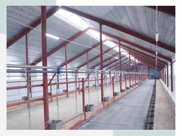 Строительство коровников в Нерюнгри от 652 руб.